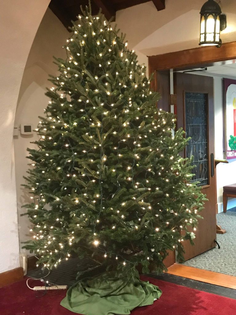 Christmas Tree Sales Clarendon United Methodist Church